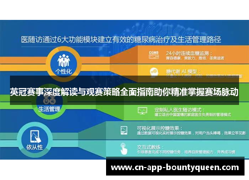 英冠赛事深度解读与观赛策略全面指南助你精准掌握赛场脉动